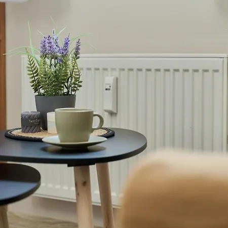 Apartament Zaulek Rogozinski By Renters * Breslavia